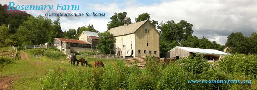 Rosemary Farm Sanctuary